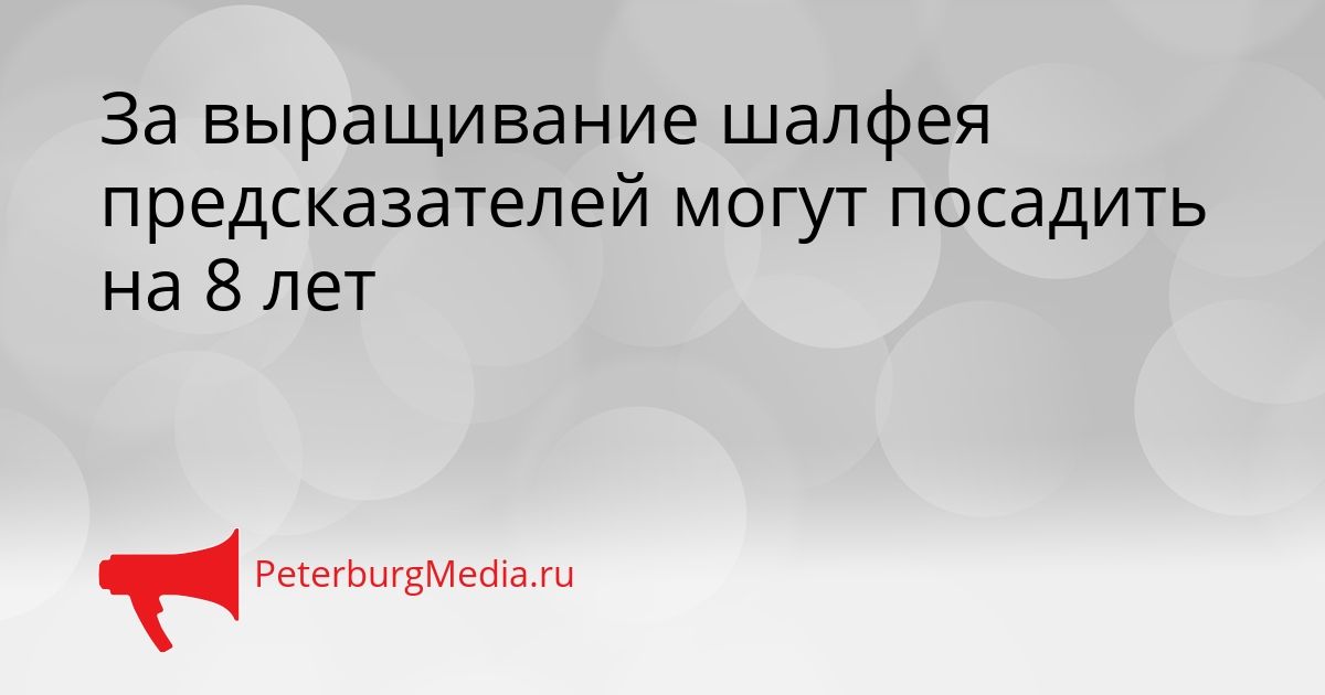 За выращивание шалфея предсказателей могут посадить на 8 лет Сгенерировано