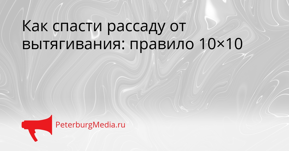 Как спасти рассаду от вытягивания: правило 10×10 Сгенерировано