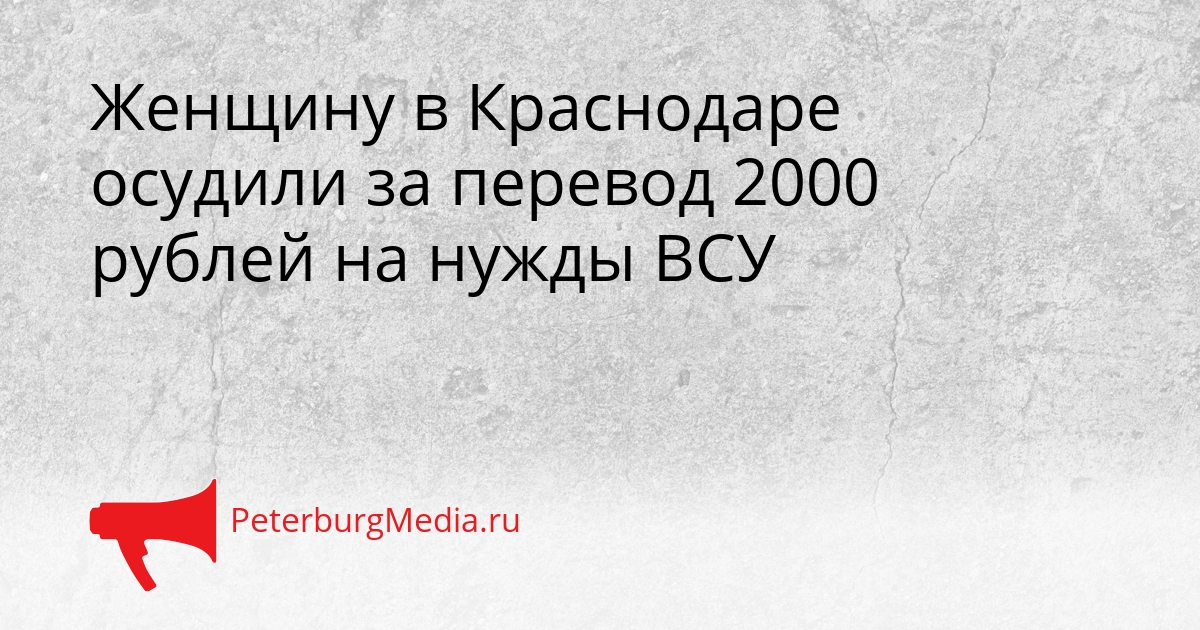Женщину в Краснодаре осудили за перевод 2000 рублей на нужды ВСУ Сгенерировано