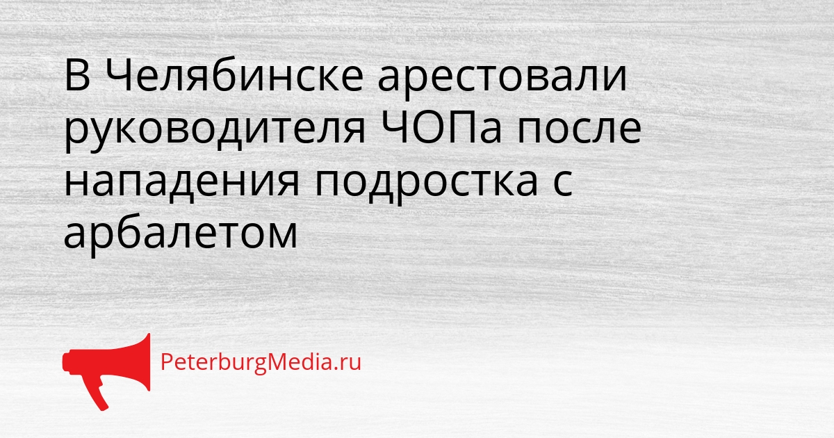 В Челябинске арестовали руководителя ЧОПа после нападения подростка с арбалетом Сгенерировано