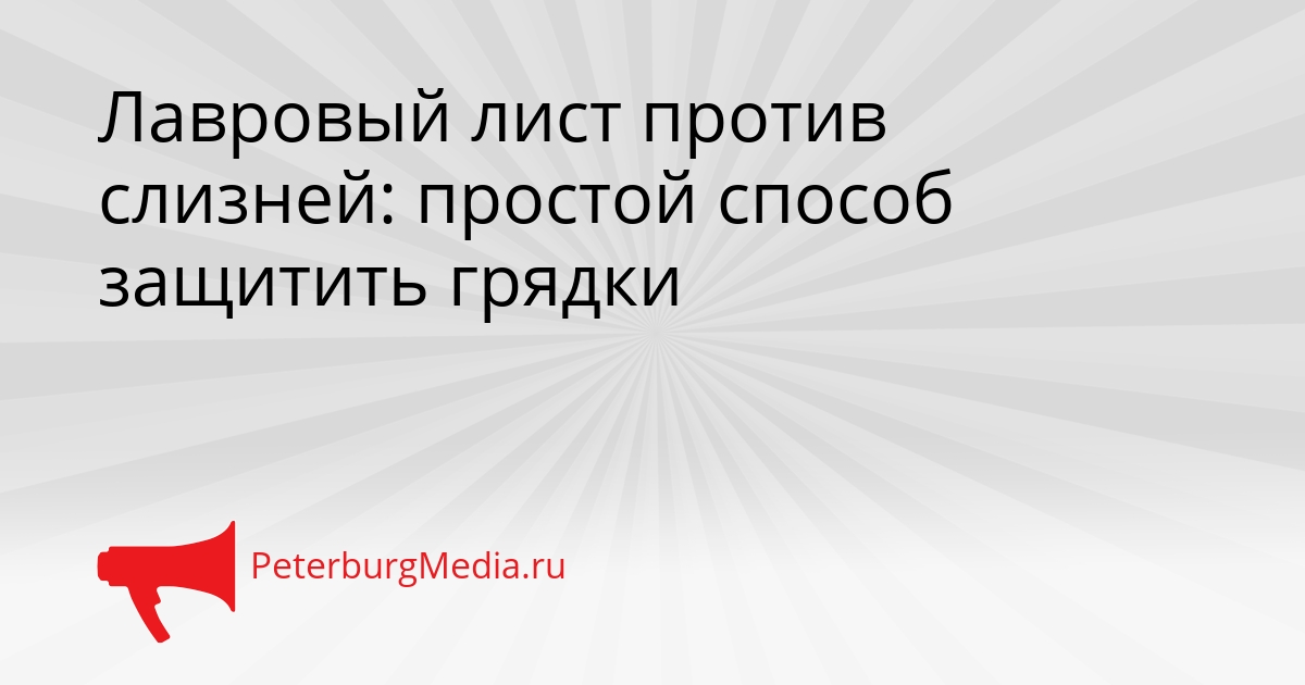 Лавровый лист против слизней: простой способ защитить грядки Сгенерировано