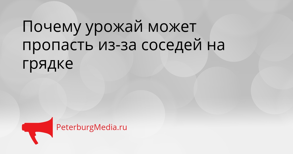 Почему урожай может пропасть из-за соседей на грядке Сгенерировано