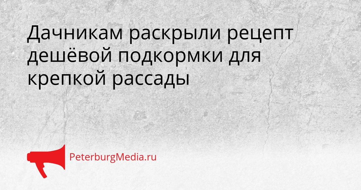 Дачникам раскрыли рецепт дешёвой подкормки для крепкой рассады Сгенерировано