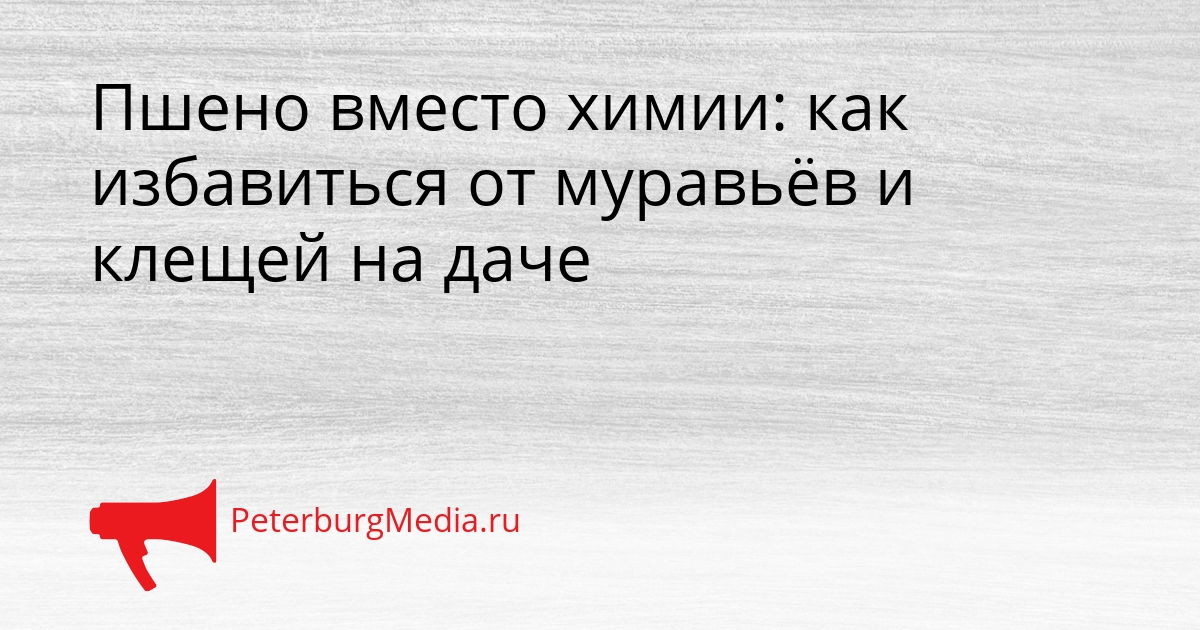 Пшено вместо химии: как избавиться от муравьёв и клещей на даче Сгенерировано