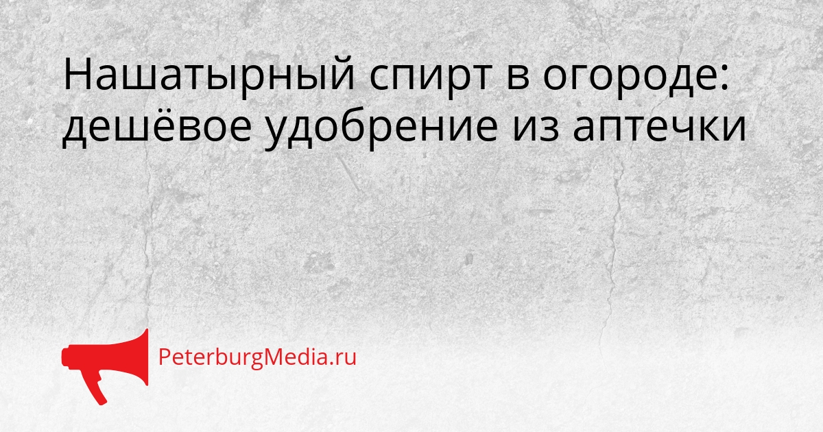 Нашатырный спирт в огороде: дешёвое удобрение из аптечки Сгенерировано