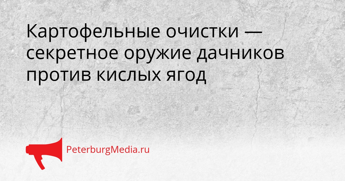 Картофельные очистки — секретное оружие дачников против кислых ягод Сгенерировано