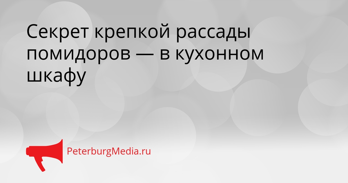 Секрет крепкой рассады помидоров — в кухонном шкафу Сгенерировано