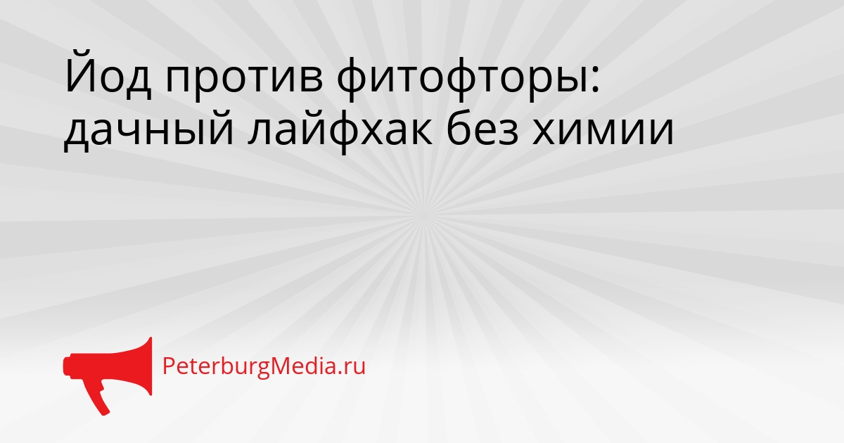 Йод против фитофторы: дачный лайфхак без химии Сгенерировано