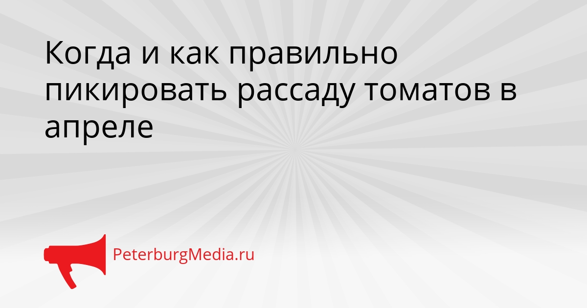 Когда и как правильно пикировать рассаду томатов в апреле Сгенерировано