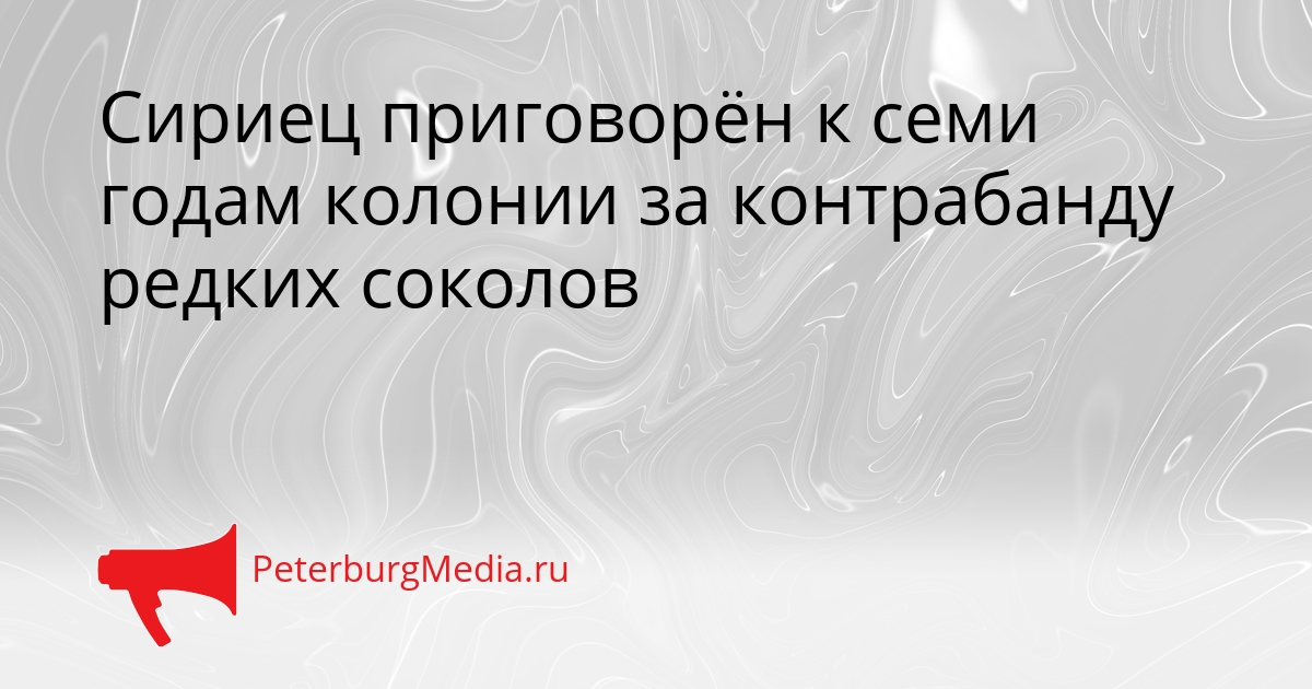 Сириец приговорён к семи годам колонии за контрабанду редких соколов Сгенерировано