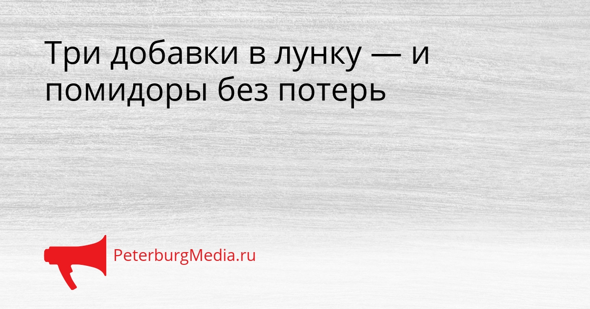 Три добавки в лунку — и помидоры без потерь Сгенерировано