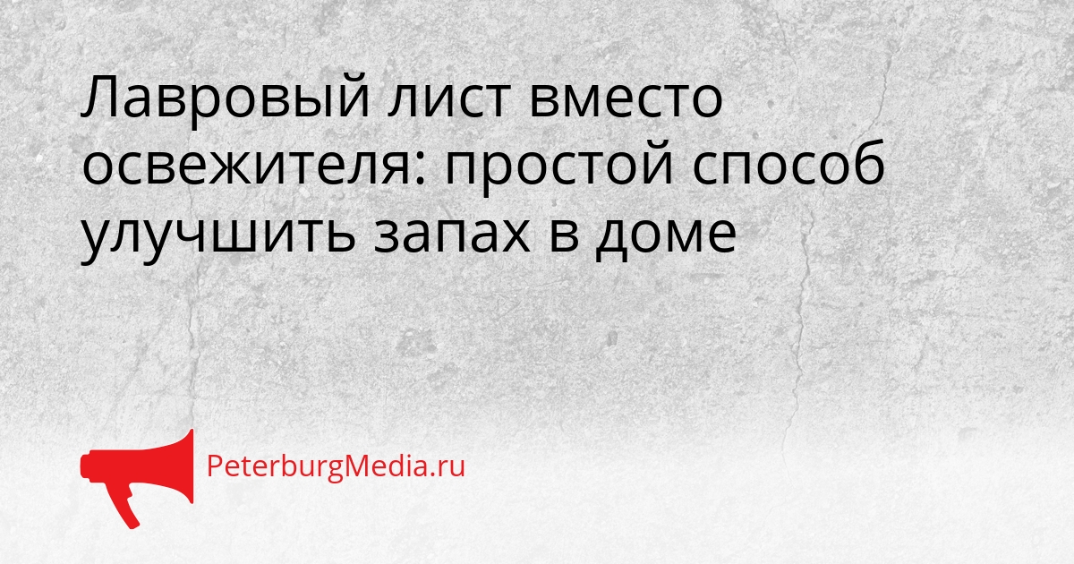 Лавровый лист вместо освежителя: простой способ улучшить запах в доме Сгенерировано