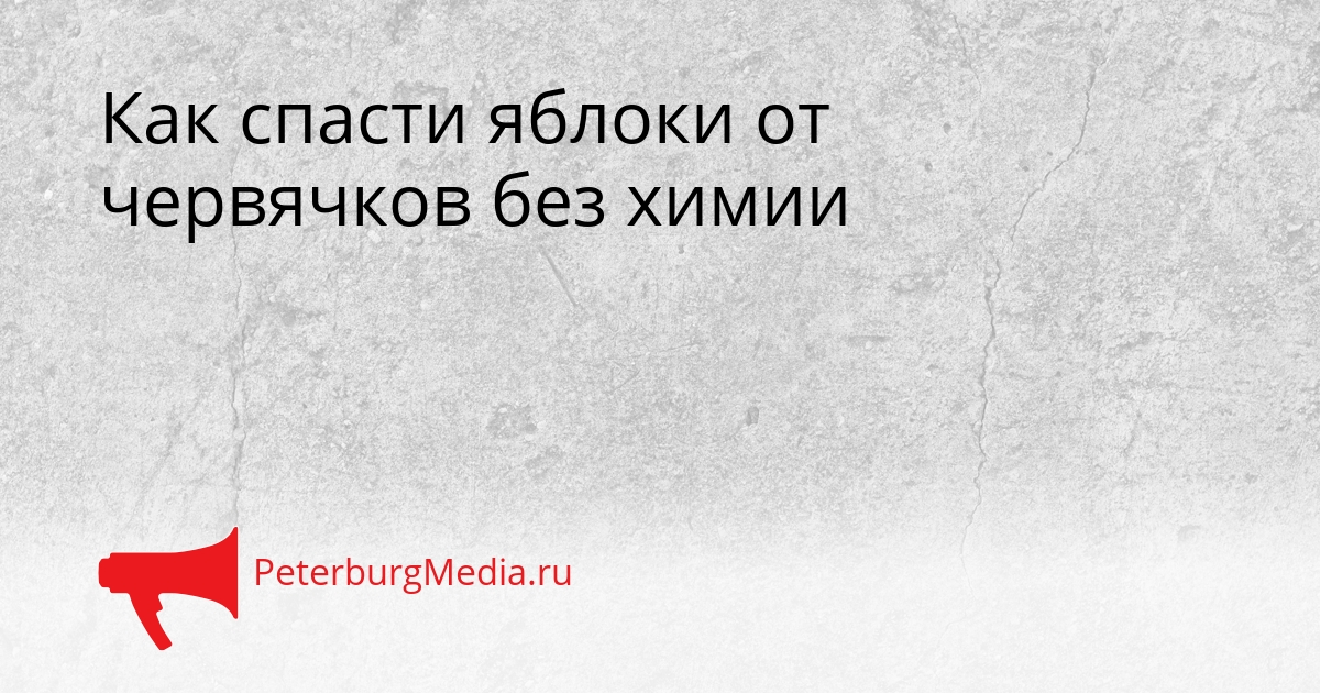 Как спасти яблоки от червячков без химии Сгенерировано
