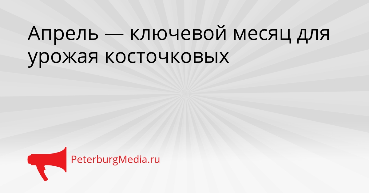 Апрель — ключевой месяц для урожая косточковых Сгенерировано