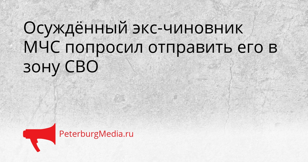 Осуждённый экс-чиновник МЧС попросил отправить его в зону СВО Сгенерировано