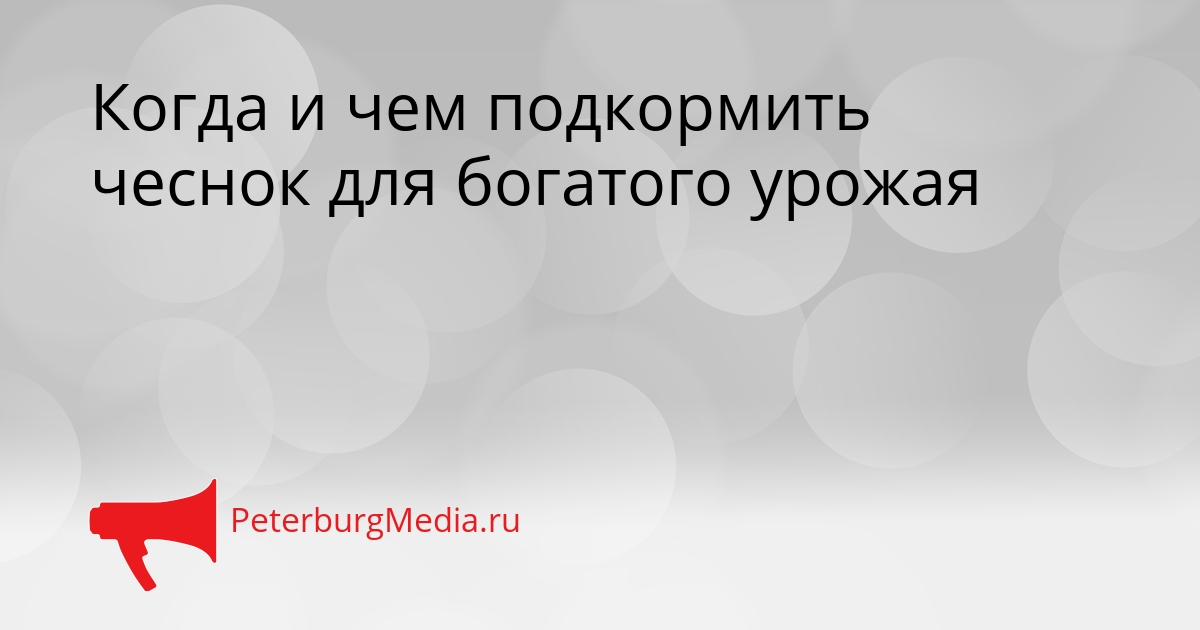 Когда и чем подкормить чеснок для богатого урожая Сгенерировано
