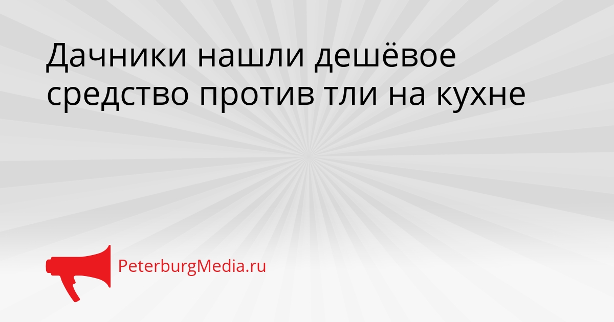 Дачники нашли дешёвое средство против тли на кухне Сгенерировано