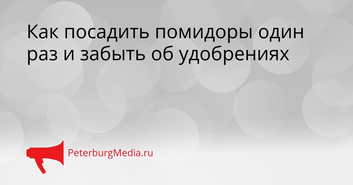 Как посадить помидоры один раз и забыть об удобрениях Сгенерировано