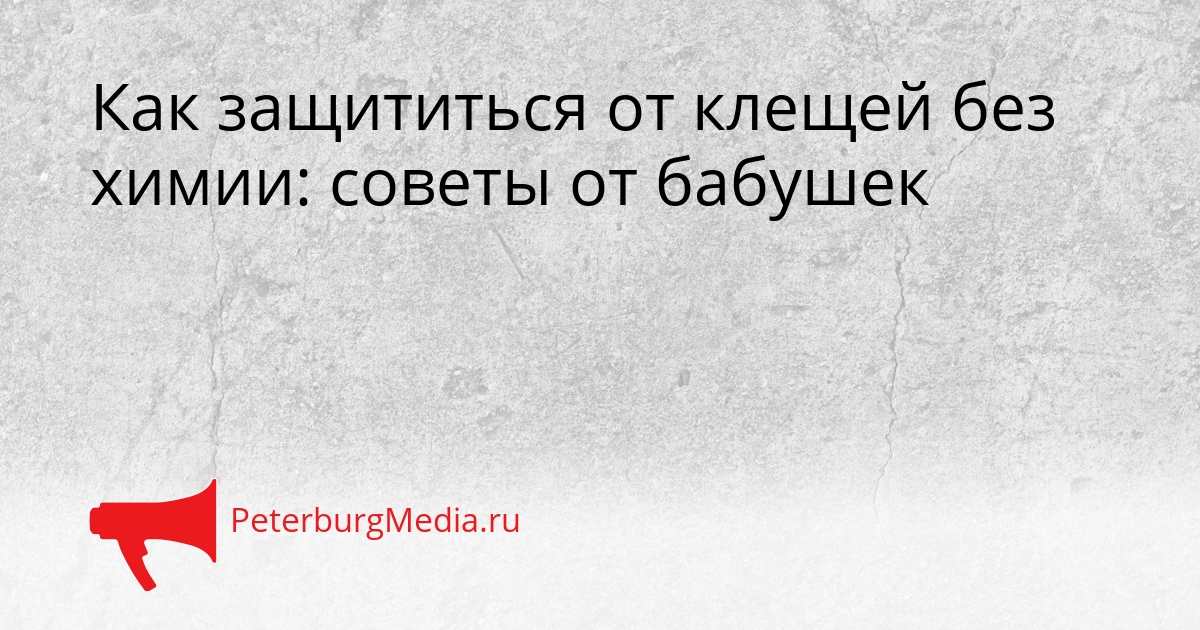 Как защититься от клещей без химии: советы от бабушек Сгенерировано