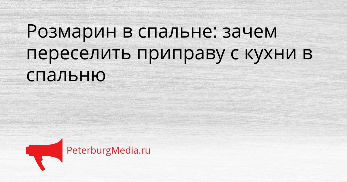 Розмарин в спальне: зачем переселить приправу с кухни в спальню Сгенерировано