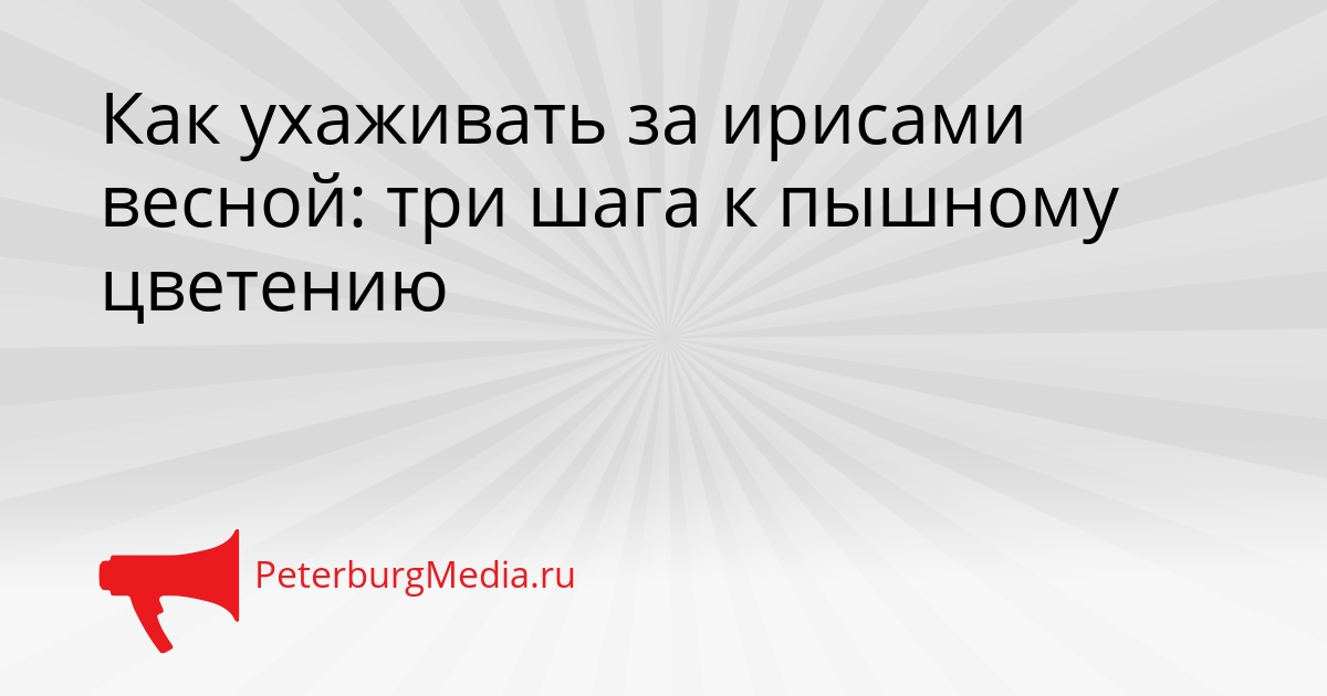 Как ухаживать за ирисами весной: три шага к пышному цветению Сгенерировано