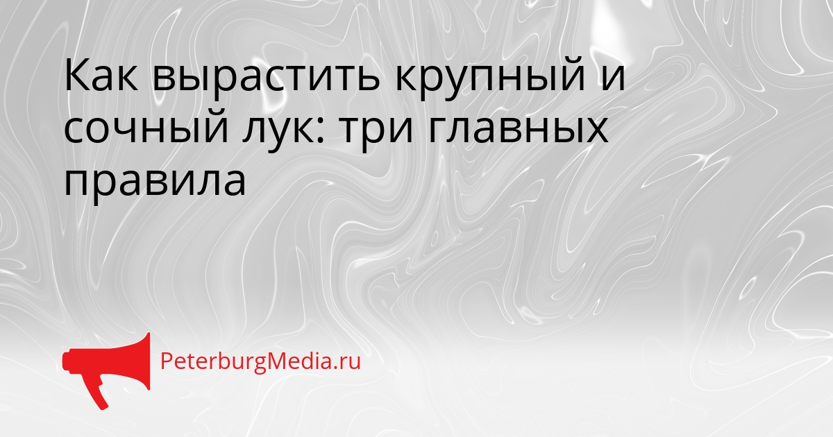 Как вырастить крупный и сочный лук: три главных правила Сгенерировано