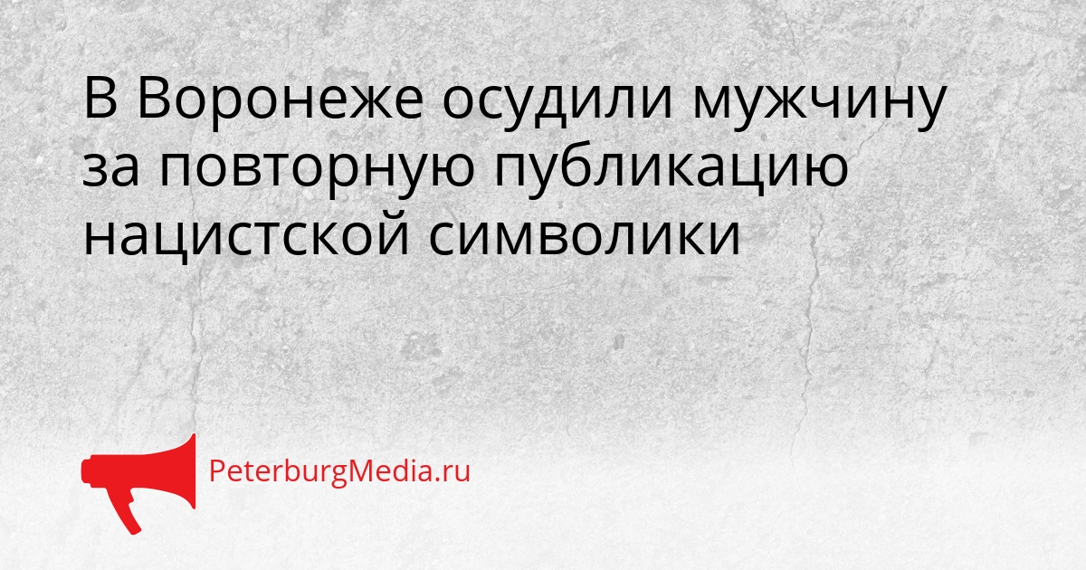 В Воронеже осудили мужчину за повторную публикацию нацистской символики Сгенерировано