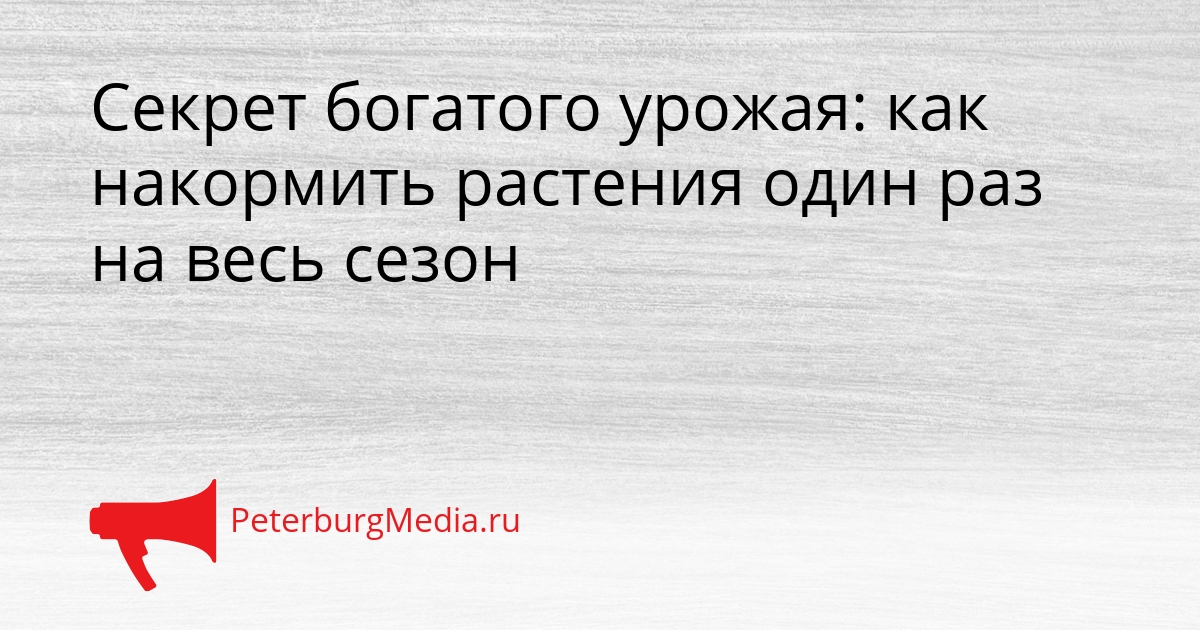 Секрет богатого урожая: как накормить растения один раз на весь сезон Сгенерировано