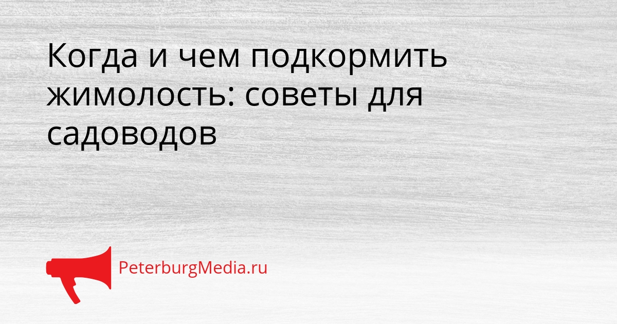Когда и чем подкормить жимолость: советы для садоводов Сгенерировано