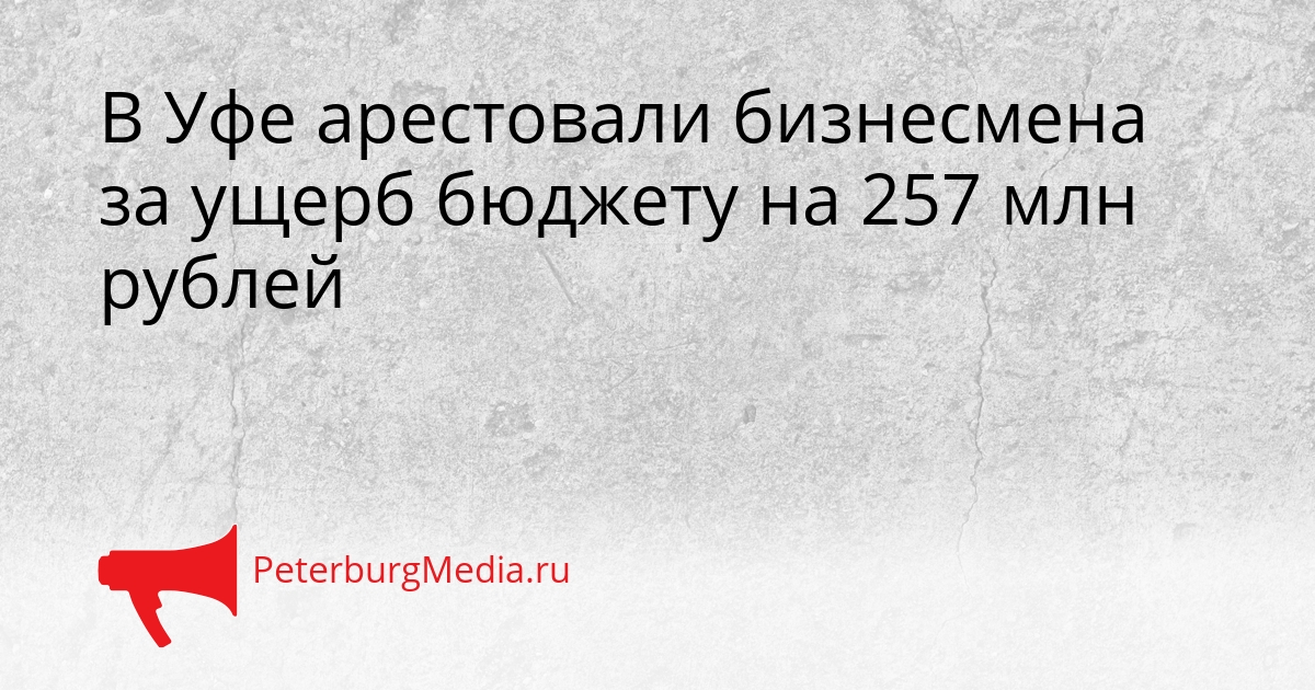 В Уфе арестовали бизнесмена за ущерб бюджету на 257 млн рублей Сгенерировано