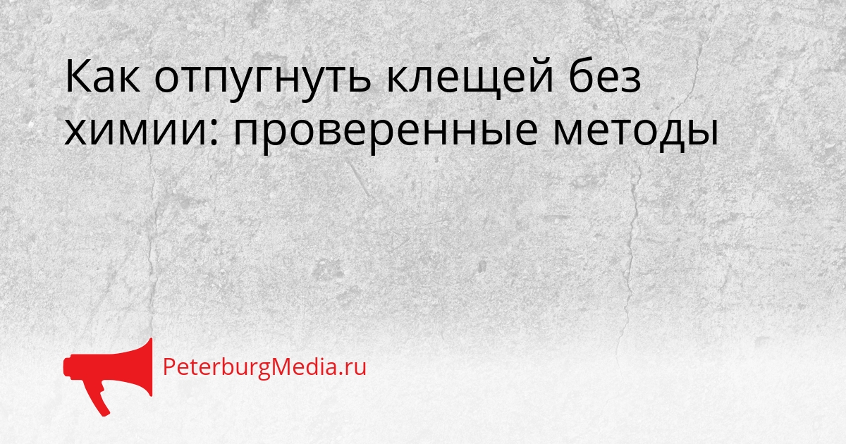 Как отпугнуть клещей без химии: проверенные методы Сгенерировано