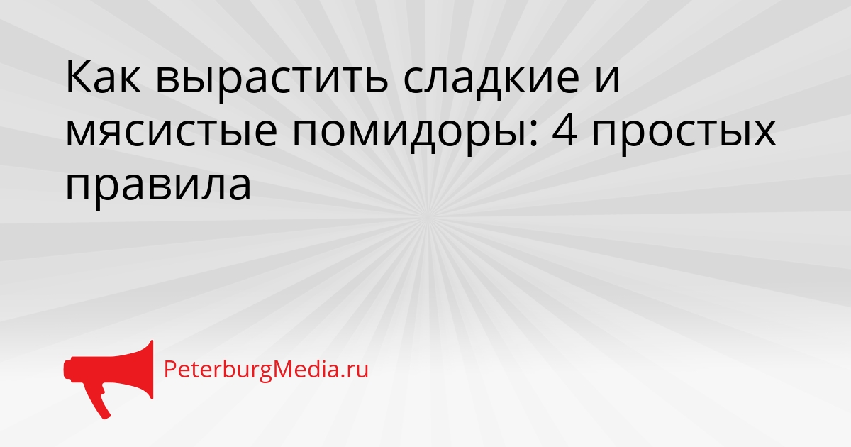 Как вырастить сладкие и мясистые помидоры: 4 простых правила Сгенерировано