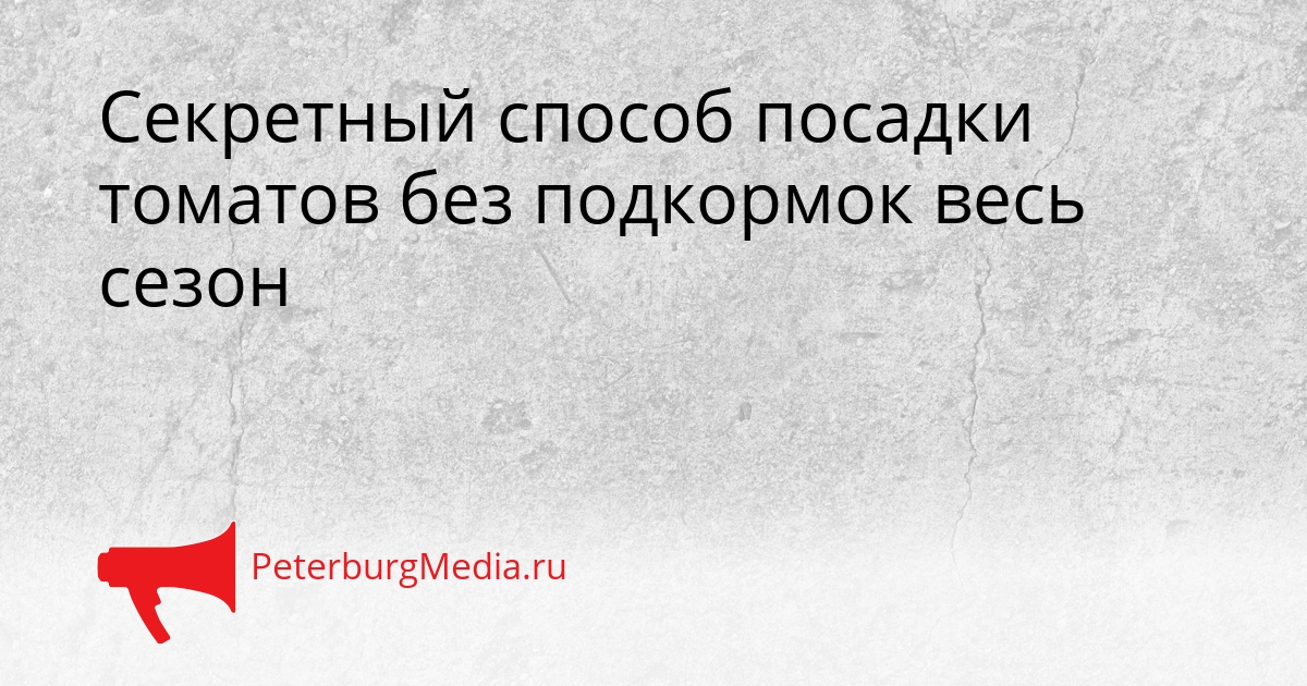 Секретный способ посадки томатов без подкормок весь сезон Сгенерировано