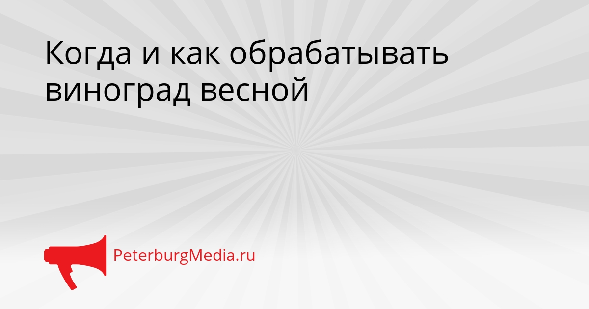 Когда и как обрабатывать виноград весной Сгенерировано