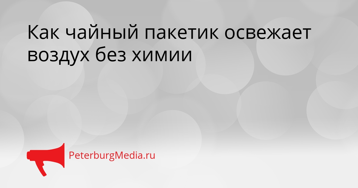 Как чайный пакетик освежает воздух без химии Сгенерировано