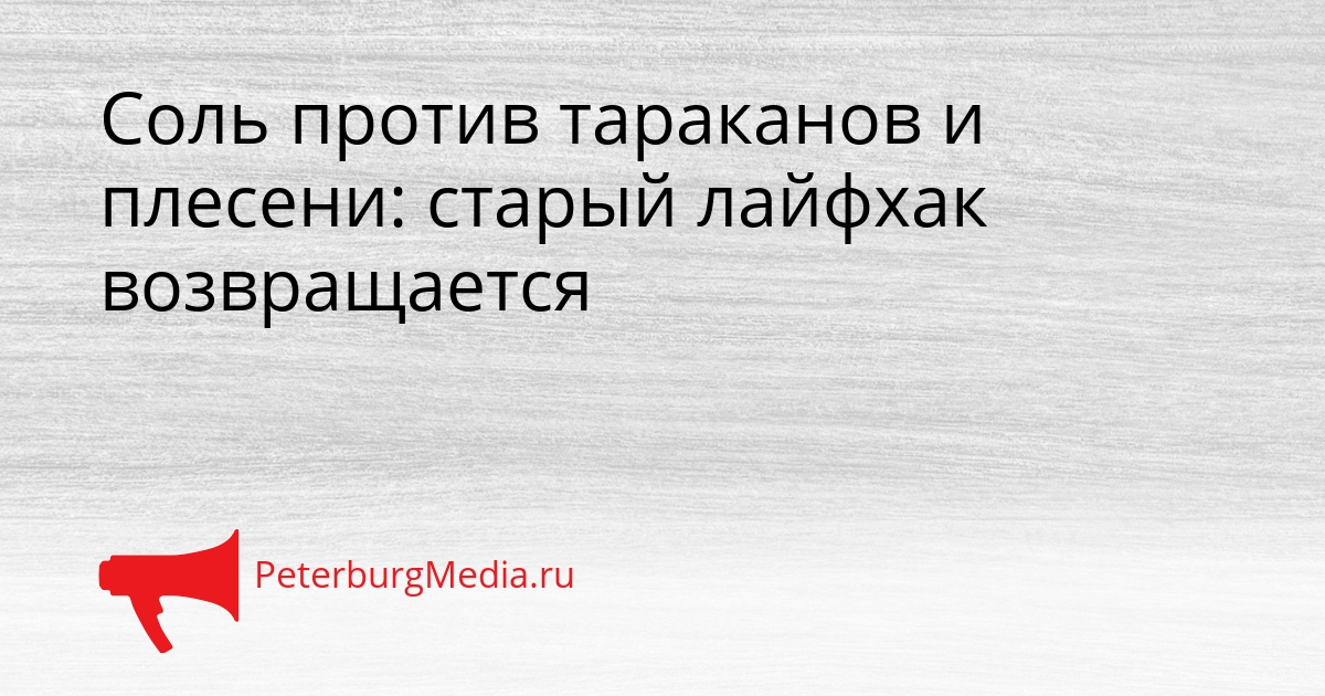 Соль против тараканов и плесени: старый лайфхак возвращается Сгенерировано