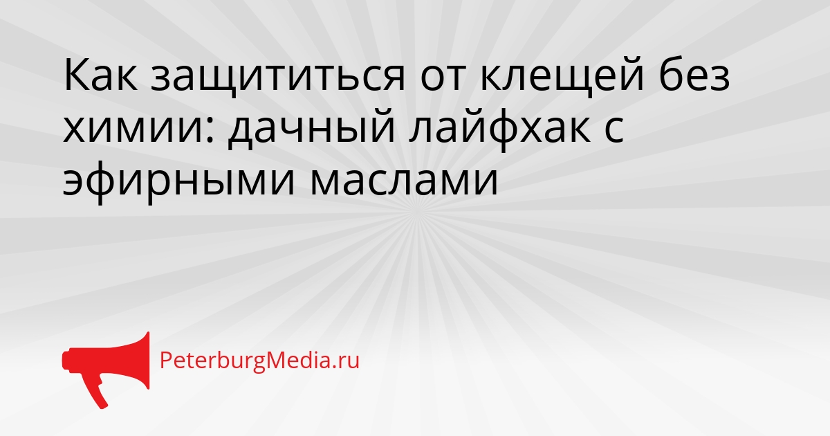 Как защититься от клещей без химии: дачный лайфхак с эфирными маслами Сгенерировано