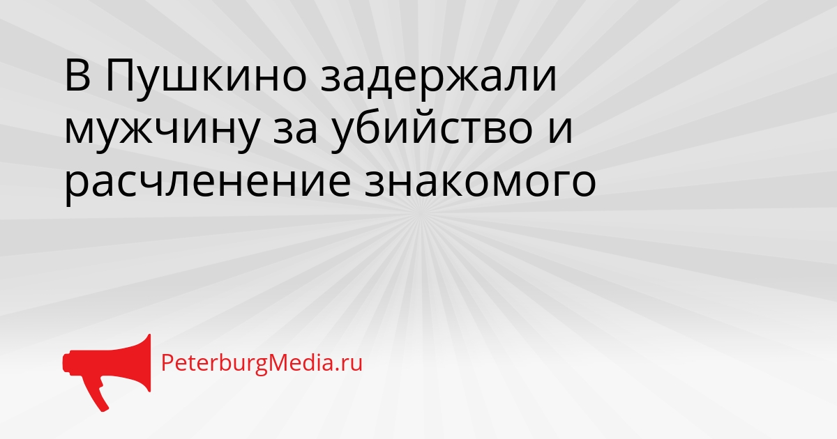 В Пушкино задержали мужчину за убийство и расчленение знакомого Сгенерировано