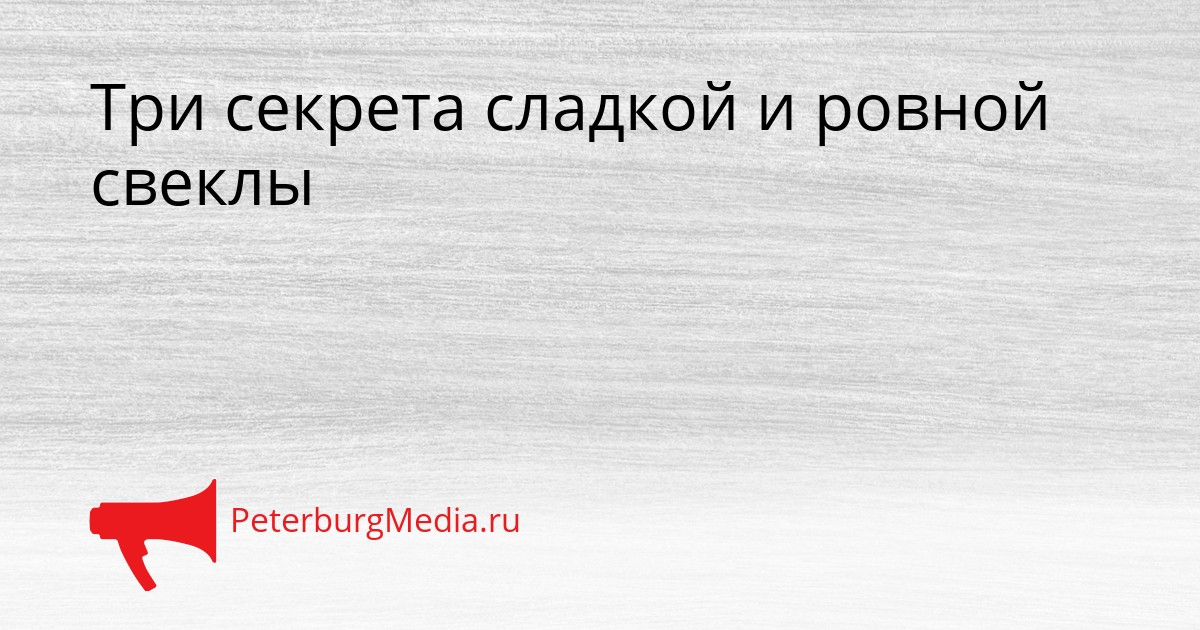 Три секрета сладкой и ровной свеклы Сгенерировано