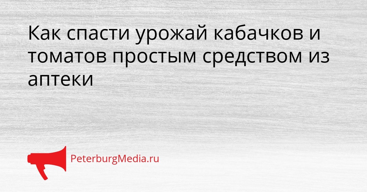 Как спасти урожай кабачков и томатов простым средством из аптеки Сгенерировано