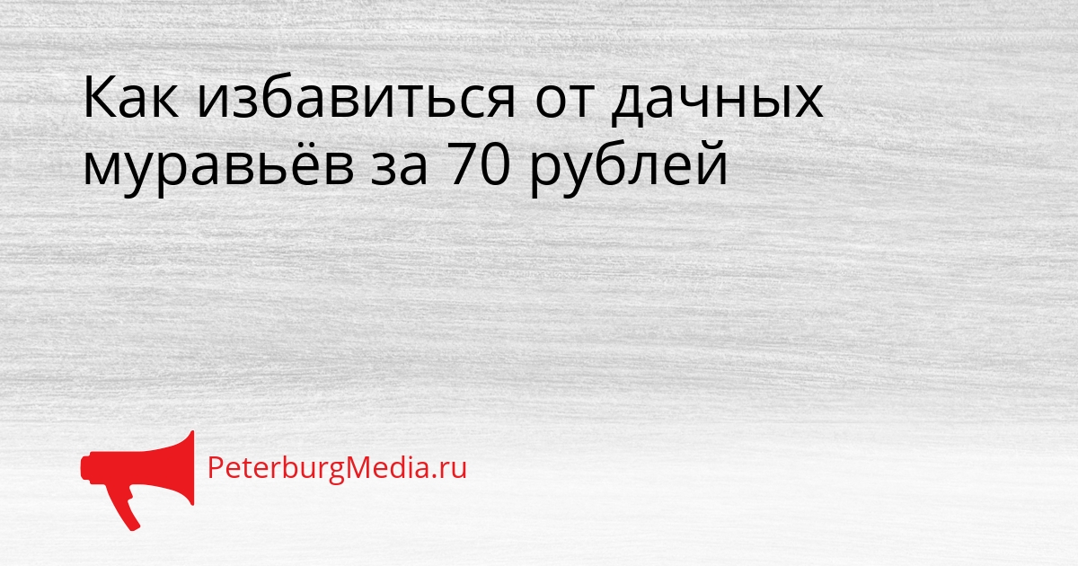 Как избавиться от дачных муравьёв за 70 рублей Сгенерировано