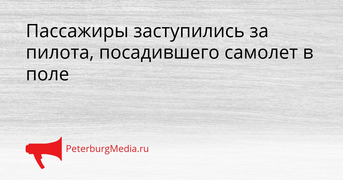 Пассажиры заступились за пилота, посадившего самолет в поле Сгенерировано