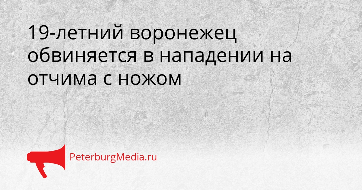 19-летний воронежец обвиняется в нападении на отчима с ножом Сгенерировано