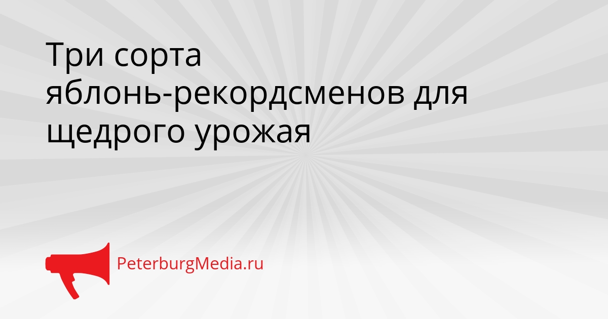 Три сорта яблонь-рекордсменов для щедрого урожая Сгенерировано