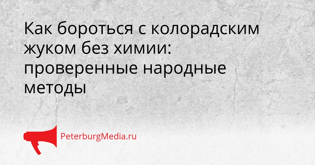 Как бороться с колорадским жуком без химии: проверенные народные методы Сгенерировано