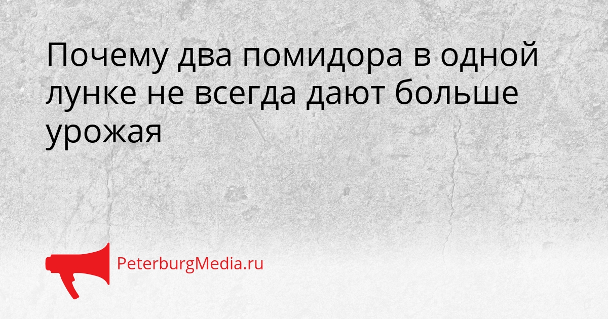 Почему два помидора в одной лунке не всегда дают больше урожая Сгенерировано
