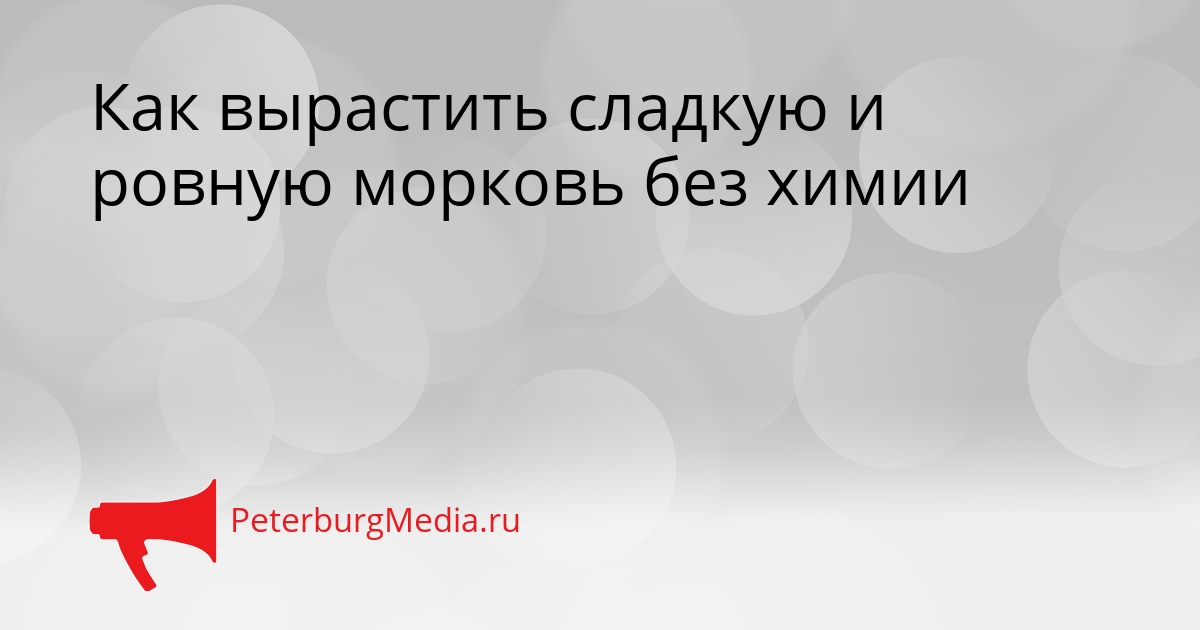 Как вырастить сладкую и ровную морковь без химии Сгенерировано