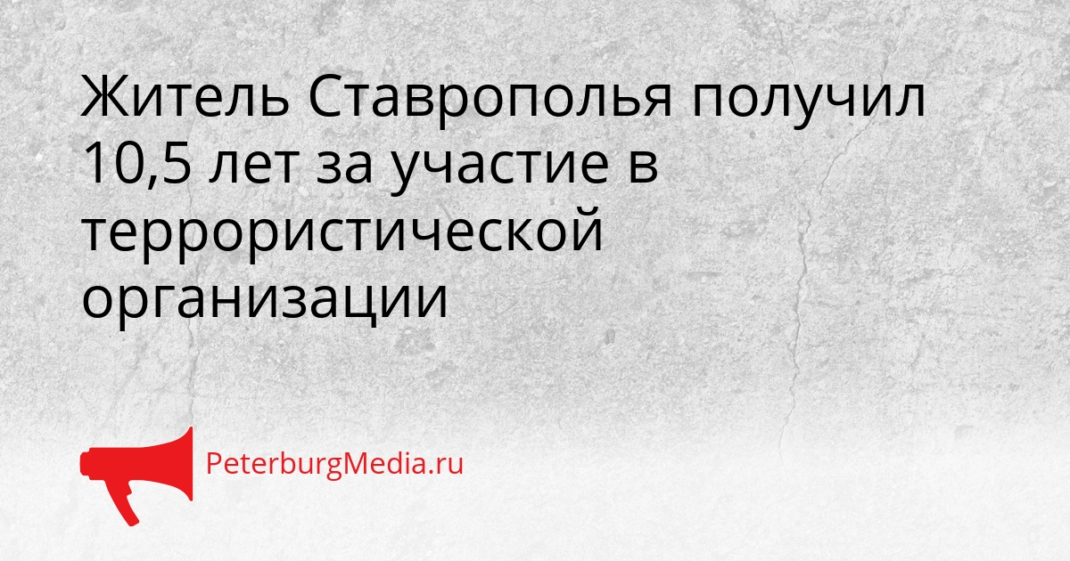 Житель Ставрополья получил 10,5 лет за участие в террористической организации Сгенерировано