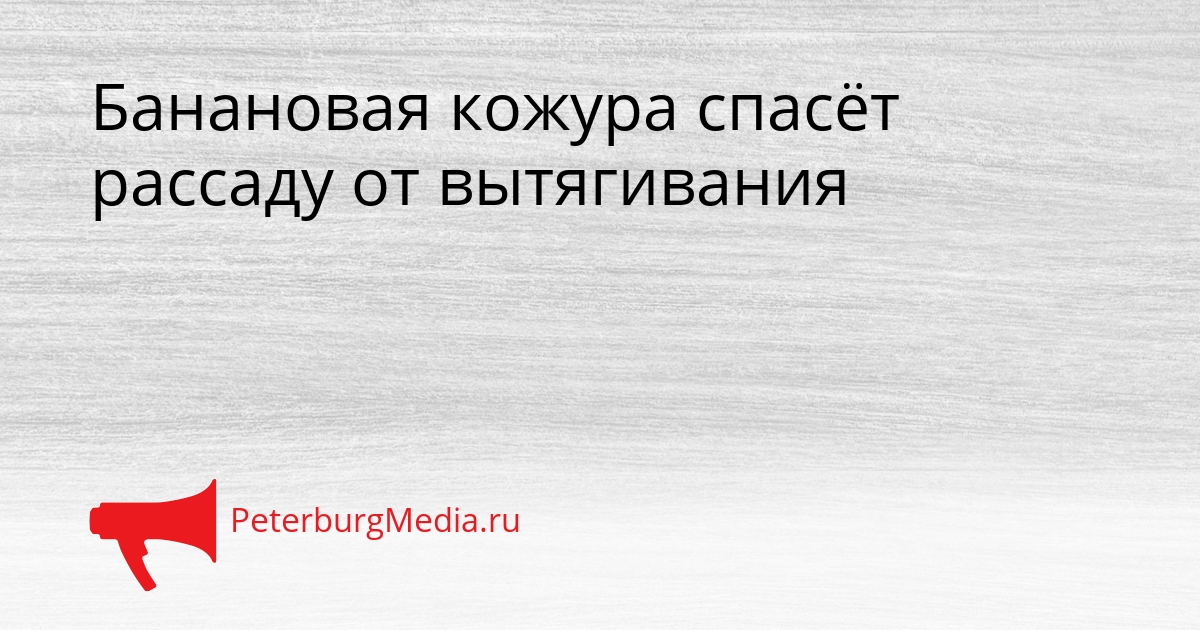 Банановая кожура спасёт рассаду от вытягивания Сгенерировано