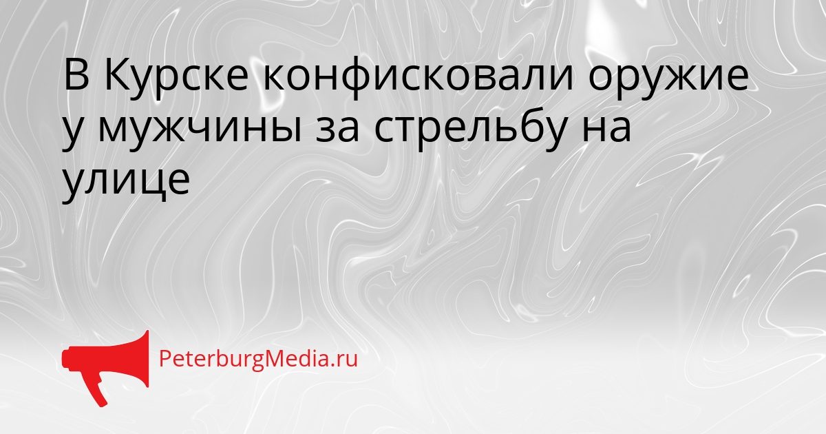 В Курске конфисковали оружие у мужчины за стрельбу на улице Сгенерировано